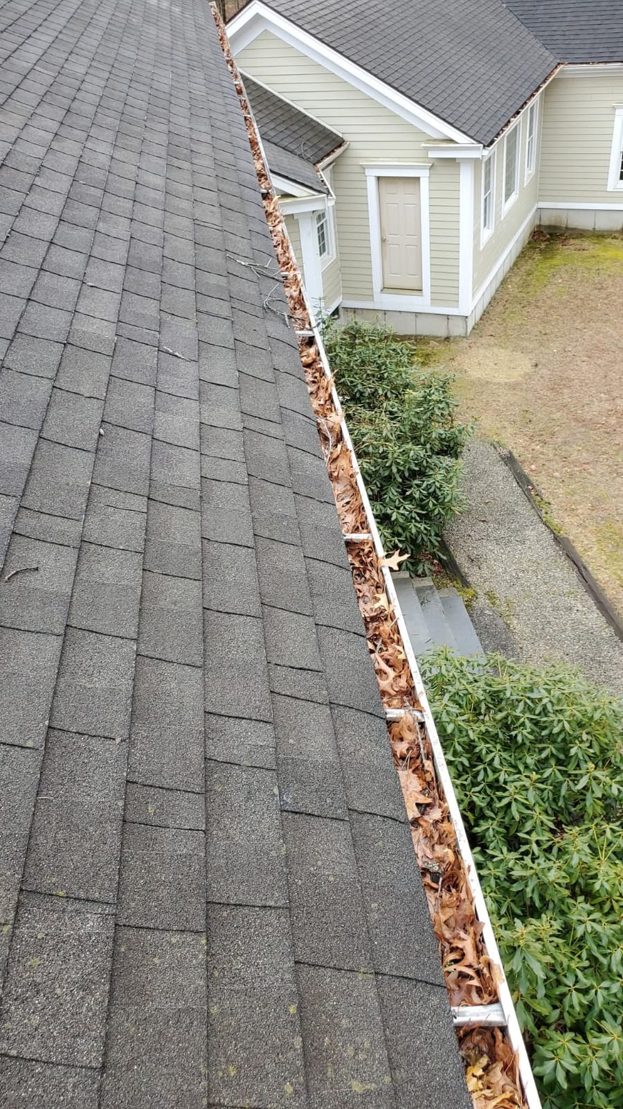 Gutter packed with dry leaves before cleaning